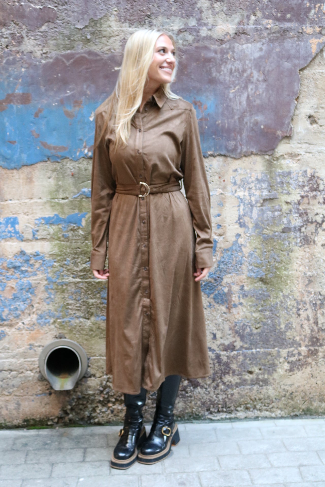 Jaime Shirt Dress