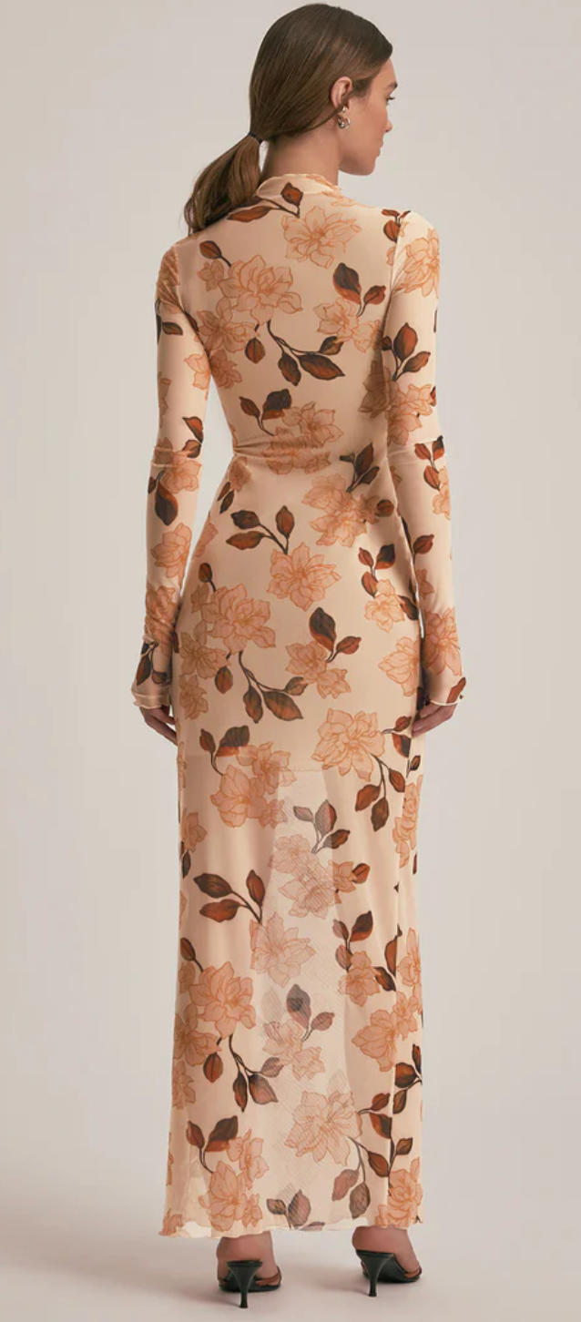 Sheer Fantasy Dress