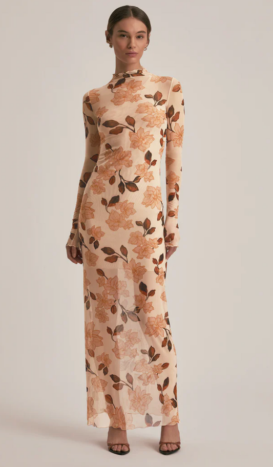 Sheer Fantasy Dress