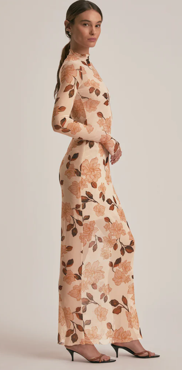Sheer Fantasy Dress