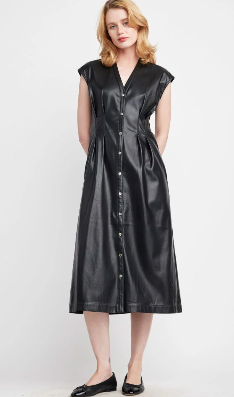 Jamila Vegan Leather Dress