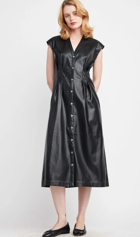 Jamila Vegan Leather Dress